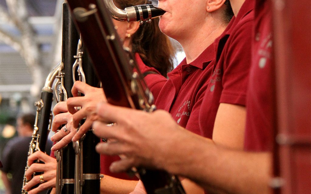 A row of QWAB musicians playing clairnet and bassoon